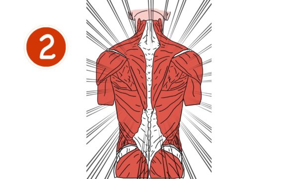 Core Kinesiology niveau 2  21/04 & 22/04/2025