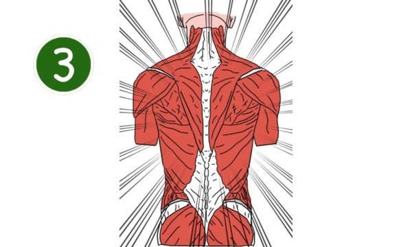 Core Kinesiology niveau 3  19/05 & 20/05/2025