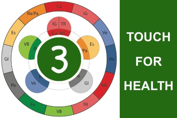 Touch for Health 3  14/07 & 15/07/2025