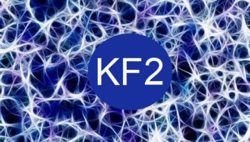 Kinésiologie fractale