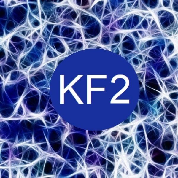 Kinésiologie Fractale KF2  27/09 & 28/09/2025 + 04/10/2025