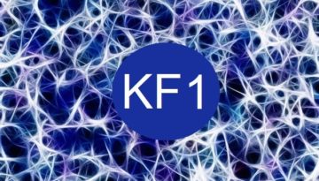 Kinésiologie fractale