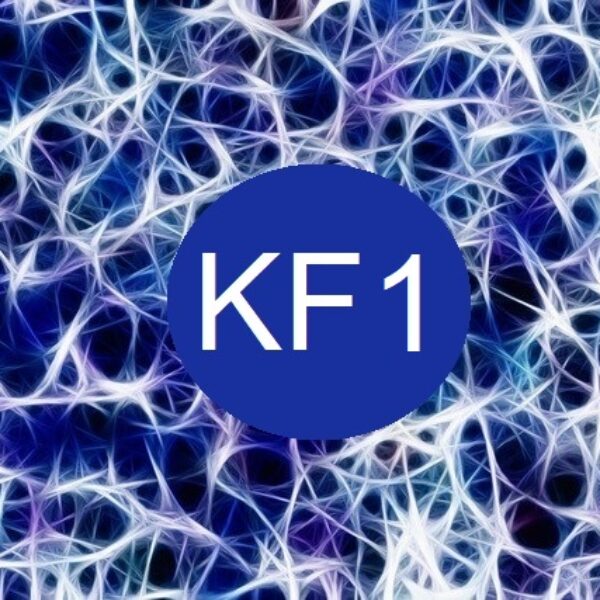 Kinésiologie Fractale KF1  05/07 & 06/07/2025 + 13/07/2025