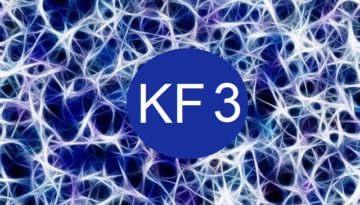 Kinésiologie fractale