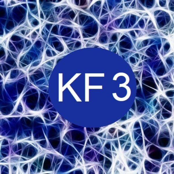 Kinésiologie Fractale KF3  08/11 & 09/11/2025 + 15/11/2025