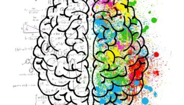 Brain Gym – Crayonnage en miroir