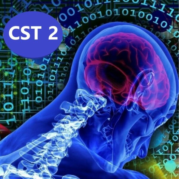 cranio sacré tissulaire 2