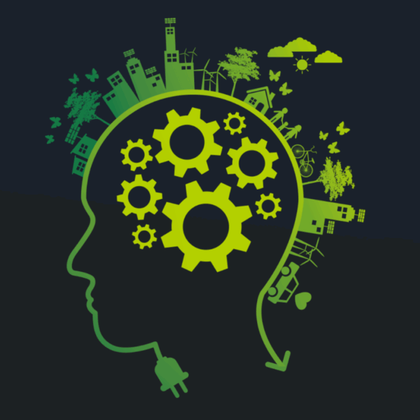 Brain Gym 101