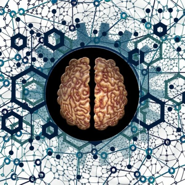 One Brain EPK