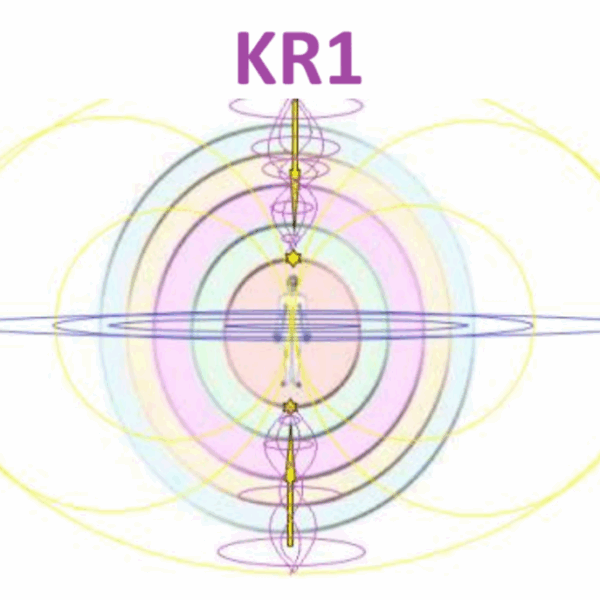 Kinesiologie Re-connective 1 EPK