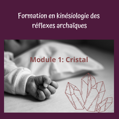 logo module 1 cristal (1)