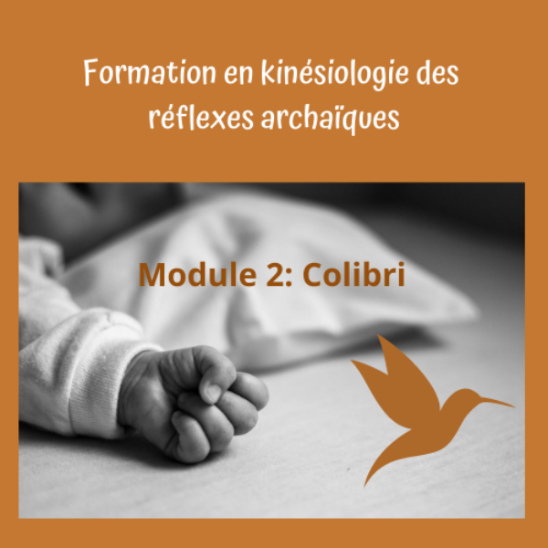 Kinésiologie des Réflexes Archaïques module 2 16/03 & 17/03 et 13/04 & 14/04/2026