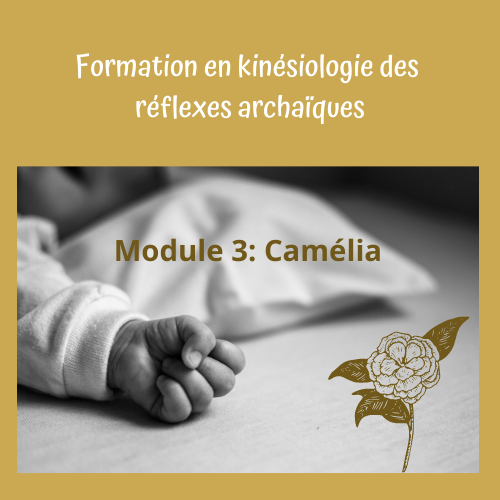 logo module 3 Camélia (1)